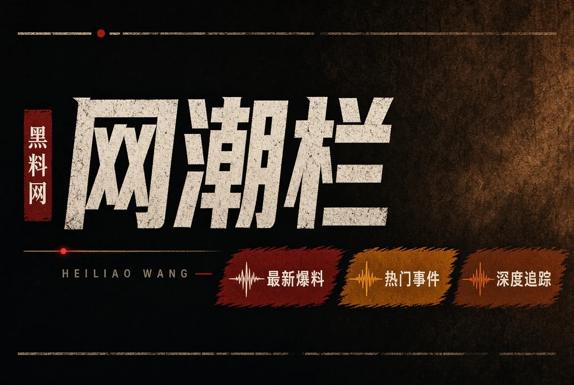 网潮栏栏目图